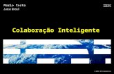 © 2009 IBM Corporation Colabora§£o Inteligente Mario Costa Lotus Brasil