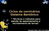 Ciclos de seminários Sistema Bentônico Técnicas e métodos para estudo de assentamento e recrutamento de larvas Alexandre, Dante, Fabio, Luis e Renan.