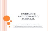 UNIDADE 2 RECUPERAÇÃO JUDICIAL Profª Roberta C. de M. Siqueira/ Direito Empresarial IV ATENÇÃO: Este material é meramente informativo e não exaure a matéria.