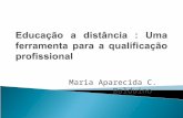 Maria Aparecida C. Balduino. Proposta de Pesquisa 1 - Questão Central: EAD como uma ferramenta de desenvolvimento que proporciona a formação de cidadãos.