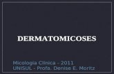 DERMATOMICOSES Micologia Clínica - 2011 UNISUL - Profa. Denise E. Moritz.