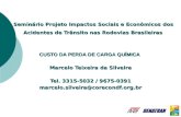 Seminário Projeto Impactos Sociais e Econômicos dos Acidentes de Trânsito nas Rodovias Brasileiras CUSTO DA PERDA DE CARGA QUÍMICA Marcelo Teixeira da.