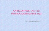 Profa Alessandra Pardini ANTICORPOS (Ac) ou IMUNOGLOBULINAS (Ig)
