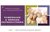 Prof. ª Anna Carolina Faleiros Martins. ADOLESCÊNCIA É um período de crescimento e de preparação para o estado adulto, que implica grandes transformações.
