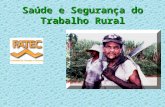 Saúde e Segurança do Trabalho Rural Tópicos Abordados Defensivos Agrícolas Tratores e Máquinas Trato com Animais Silos e Armazéns Trabalho sob o sol.
