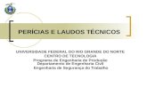 PERÍCIAS E LAUDOS TÉCNICOS UNIVERSIDADE FEDERAL DO RIO GRANDE DO NORTE CENTRO DE TECNOLOGIA Programa de Engenharia de Produção Departamento de Engenharia.