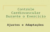 Controle Cardiovascular Durante o Exercício Ajustes e Adaptações.