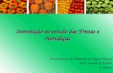 Introdução ao estudo das Frutas e Hortaliças Processamento de Alimentos de Origem Vegetal Prof a. Sandra R. B.Silva 2º modulo.