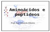 Aminoácidos e peptídeos Prof. José Eduardo Ribeiro.
