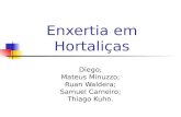 Enxertia em Hortaliças Diego; Mateus Minuzzo; Ruan Waldera; Samuel Carneiro; Thiago Kuhn.