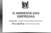 O AMBIENTE DAS EMPRESAS Curso : Engenharia Mecatrônica Disciplina : Administração.