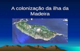 A colonização da ilha da Madeira. Será que viviam pessoas nessa ilha quando os portugueses lá chegaram? O arquipélago da Madeira encontrava-se desabitado.