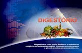A Digestão tem como função desdobrar as substâncias complexas em substâncias simples: Gorduras em ácidos graxos e glicerol; proteínas em aminoácidos, etc..