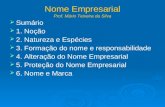 Nome Empresarial Prof. Mário Teixeira da Silva Sumário 1. Noção 2. Natureza e Espécies 3. Formação do nome e responsabilidade 4. Alteração do Nome Empresarial.