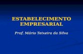 ESTABELECIMENTO EMPRESARIAL Prof. Mário Teixeira da Silva.