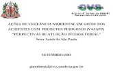 AÇÕES DE VIGILÂNCIA AMBIENTAL EM SAÚDE DOS ACIDENTES COM PRODUTOS PERIGOSOS (VASAPP) PERPECTIVAS DE ATUAÇÃO INTERSETORIAL Setor Saúde de São Paulo SETEMBRO/2003.