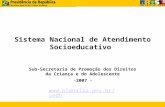 Sistema Nacional de Atendimento Socioeducativo Sub-Secretaria de Promoção dos Direitos da Criança e do Adolescente -2007 - .