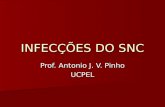 INFECÇÕES DO SNC Prof. Antonio J. V. Pinho UCPEL.