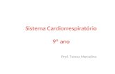 Sistema Cardiorrespiratório 9º ano Prof. Teresa Marcelino.