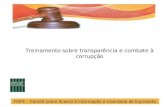 Treinamento sobre transparência e combate à corrupção FAIFE – Comitê sobre Acesso à Informação e Liberdade de Expressão.