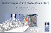 Instrumentação avançada para o ITER Bruno Soares Gonçalves Instituto de Plasmas e Fusão Nuclear.