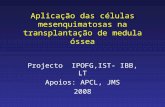 Aplicação das células mesenquimatosas na transplantação de medula óssea Projecto IPOFG,IST- IBB, LT Apoios: APCL, JMS 2008.