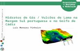CESAM Centro de Estudos do Ambiente e do Mar Hidratos de Gás / Vulcões de Lama na Margem Sul portuguesa e no Golfo de Cádiz Ecossistemas Marinhos e Modelação.