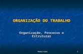 Paula Cruz 1 ORGANIZAÇÃO DO TRABALHO Organização, Processo e Estruturas.