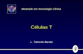 Células T L. Taborda Barata Mestrado em Imunologia Clínica.