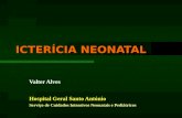 ICTERCIA NEONATAL Valter Alves Hospital Geral Santo Ant³nio Servi§o de Cuidados Intensivos Neonatais e Peditricos
