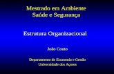 Estrutura Organizacional João Couto Departamento de Economia e Gestão Universidade dos Açores Mestrado em Ambiente Saúde e Segurança.