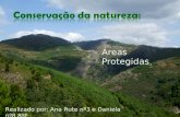 Áreas Protegidas Realizado por: Ana Rute nº3 e Daniela nº8 8ºE.