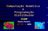 Computação Numérica e Programação Distribuída SIADM Nuno Pereira ESTIG - ADM.