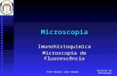 Técnicas de Imunologia Prof.Doutor José Cabeda Microscopia Imunohistoquimica Microscopia de Fluorescência.