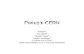 Portugal-CERN Porquê? Para quê? Quanto custa? A quem interessa? É suficiente o CERN? Onde mais é preciso fazer a Física de Particulas?