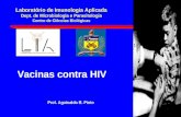 Laboratório de Imunologia Aplicada Dept. de Microbiologia e Parasitologia Centro de Ciências Biológicas Vacinas contra HIV Prof. Aguinaldo R. Pinto.
