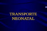 TRANSPORTE NEONATAL. Dar preferência ao transporte INTRA-ÚTERO Quando ocorre em local sem estrutura, o RN deve ser removido para centro de referência.