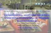 Monografia apresentada ao Programa de Residência Médica em Neonatologia do Hospital Regional da Asa Sul Corioamnionite, ventilação mecânica e sepse como.
