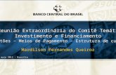 1 9ª Reunião Extraordinária do Comitê Temático Investimento e Financiamento Cartões – Meios de Pagamento – Estrutura de custo Mardilson Fernandes Queiroz.