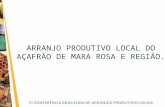 ARRANJO PRODUTIVO LOCAL DO AÇAFRÃO DE MARA ROSA E REGIÃO.