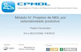 Módulo IV: Projetos de MDL por setor/atividade produtiva Pablo Fernandez 04 a 06/12/2006, FIERGS.