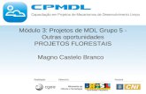 Módulo 3: Projetos de MDL Grupo 5 - Outras oportunidades PROJETOS FLORESTAIS Magno Castelo Branco.