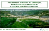 Águas Claras - MBR RECUPERAÇÃO AMBIENTAL NA MINERAÇÃO, RECUPERAÇÃO AMBIENTAL NA MINERAÇÃO, RESPONSABILIDADE EMPRESARIAL E DESENVOLVIMENTO SUSTENTÁVEL Prof.
