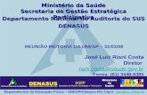 Departamento Nacional de Auditoria do SUS DENASUS José Luiz Riani Costa Diretor riani.costa@saude.gov.br riani.costa@saude.gov.br Fones: (61) 3448-8385.