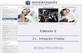 Ensino Superior 11. Integrais Triplas Amintas Paiva Afonso Cálculo 2.