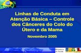 Linhas de Conduta em Atenção Básica – Controle dos Cânceres do Colo do Útero e da Mama Novembro 2005.