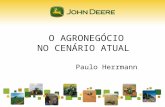 O AGRONEGÓCIO NO CENÁRIO ATUAL Paulo Herrmann. Dezembro/07.