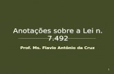 1 Prof. Ms. Flavio Antônio da Cruz Anotações sobre a Lei n. 7.492.