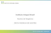 Instituto Integral Brasil Núcleo de Negócios META MODELO DE GESTÃO.
