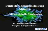 Ponto de Checagem do Fuso Mitótico (Mitotic Spindle Checkpoint) Ex - Monitora Niara Oliveira Disciplina de Genética Humana.